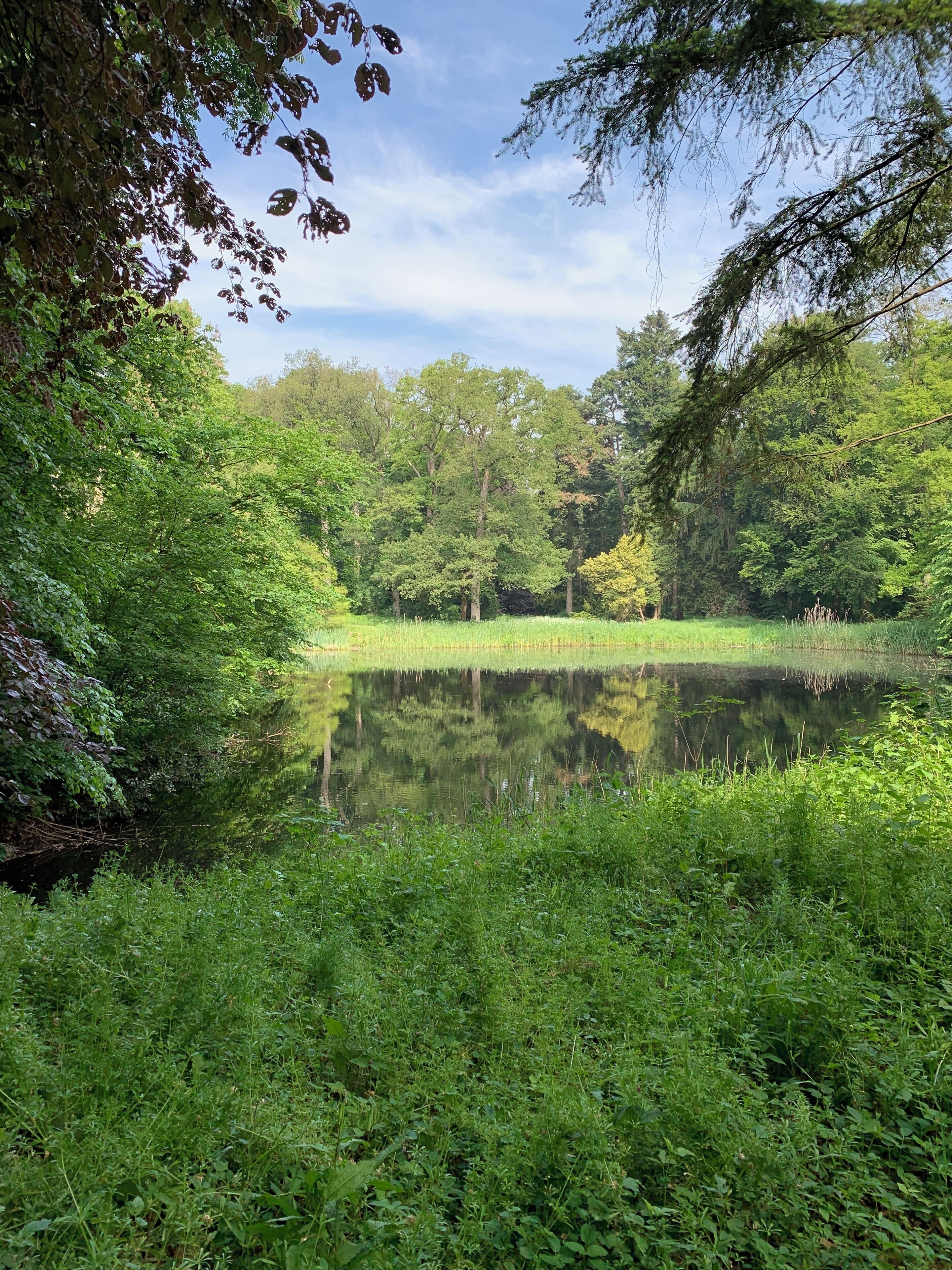 Prachtig om te wandelen.