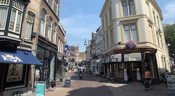 Oude panden. Winkelstraat