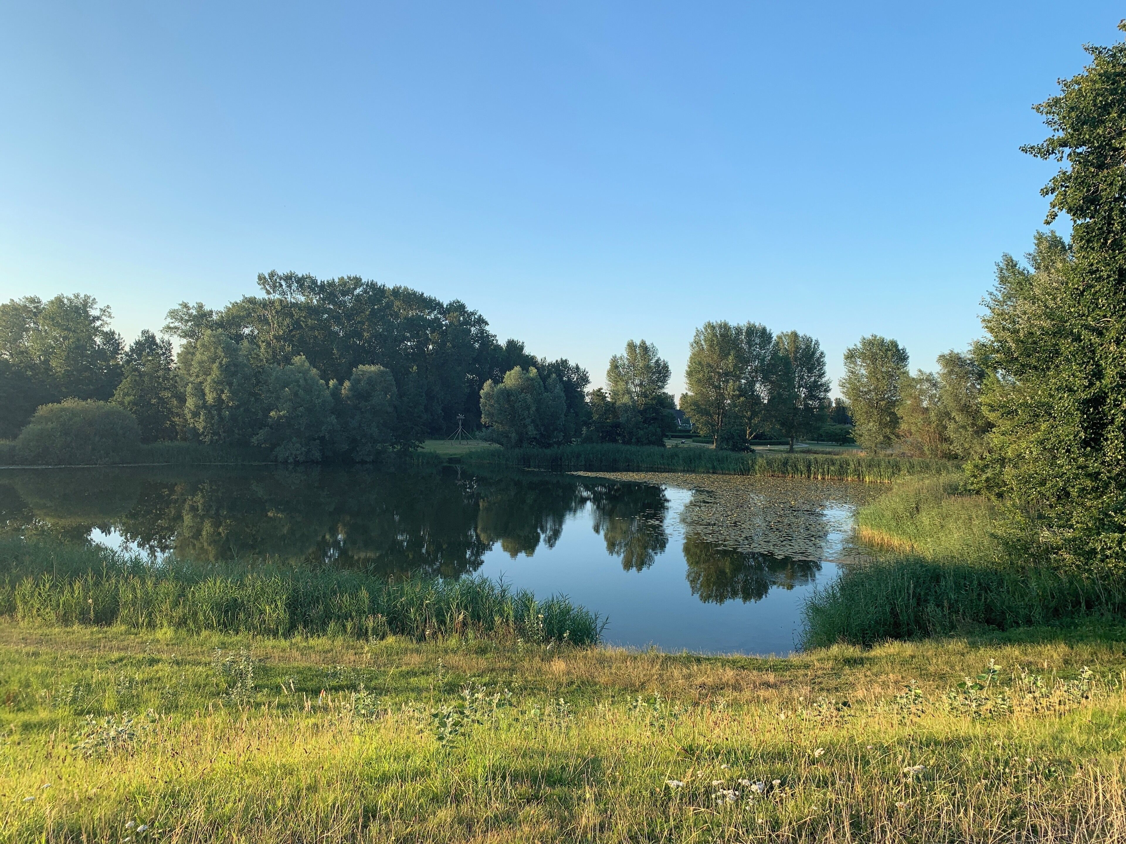 Prachtig uitzicht vanaf de dijk.
#Nature