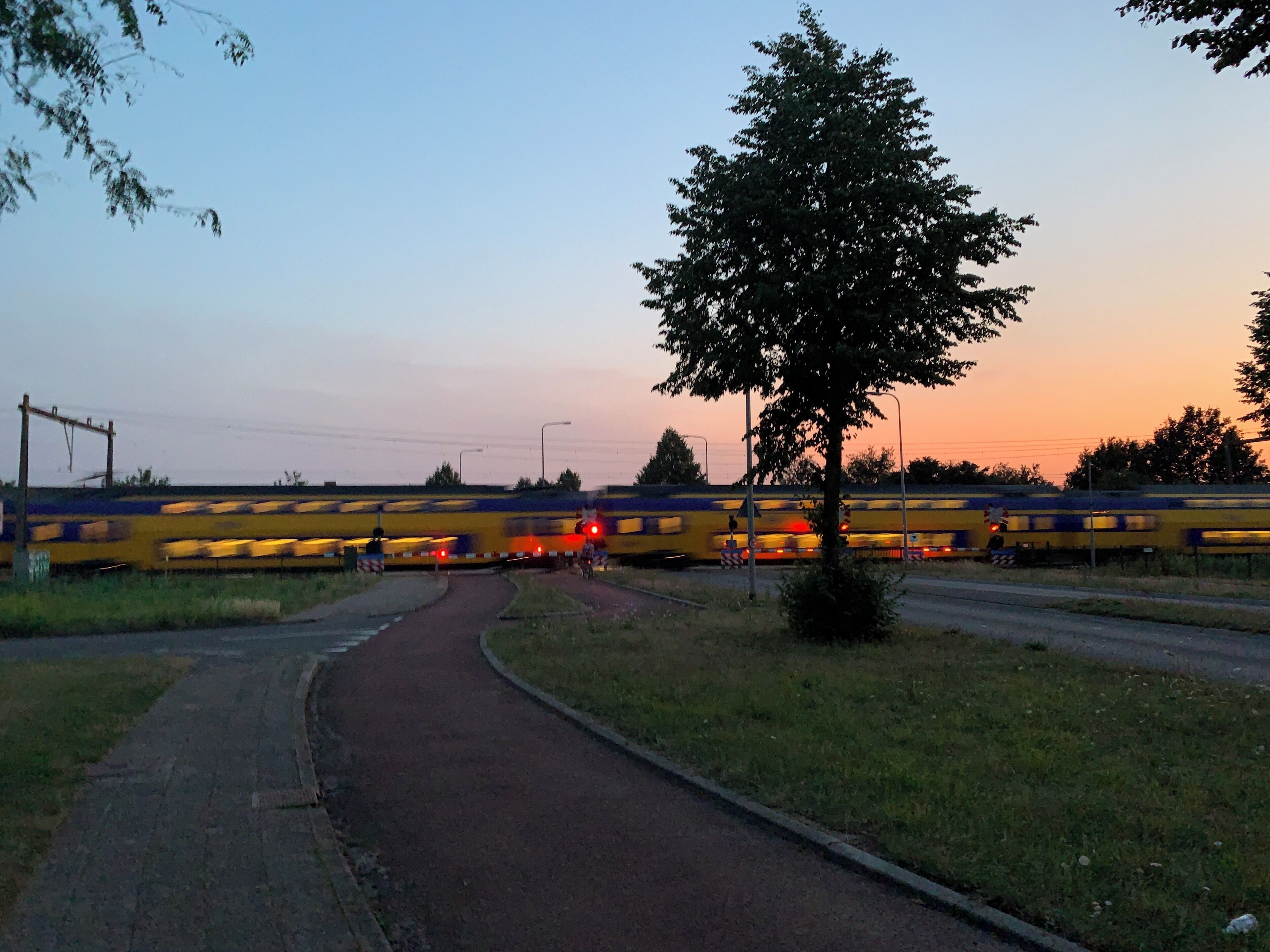 A yellow train on a track with a red signal light, a tree, and a paved path.