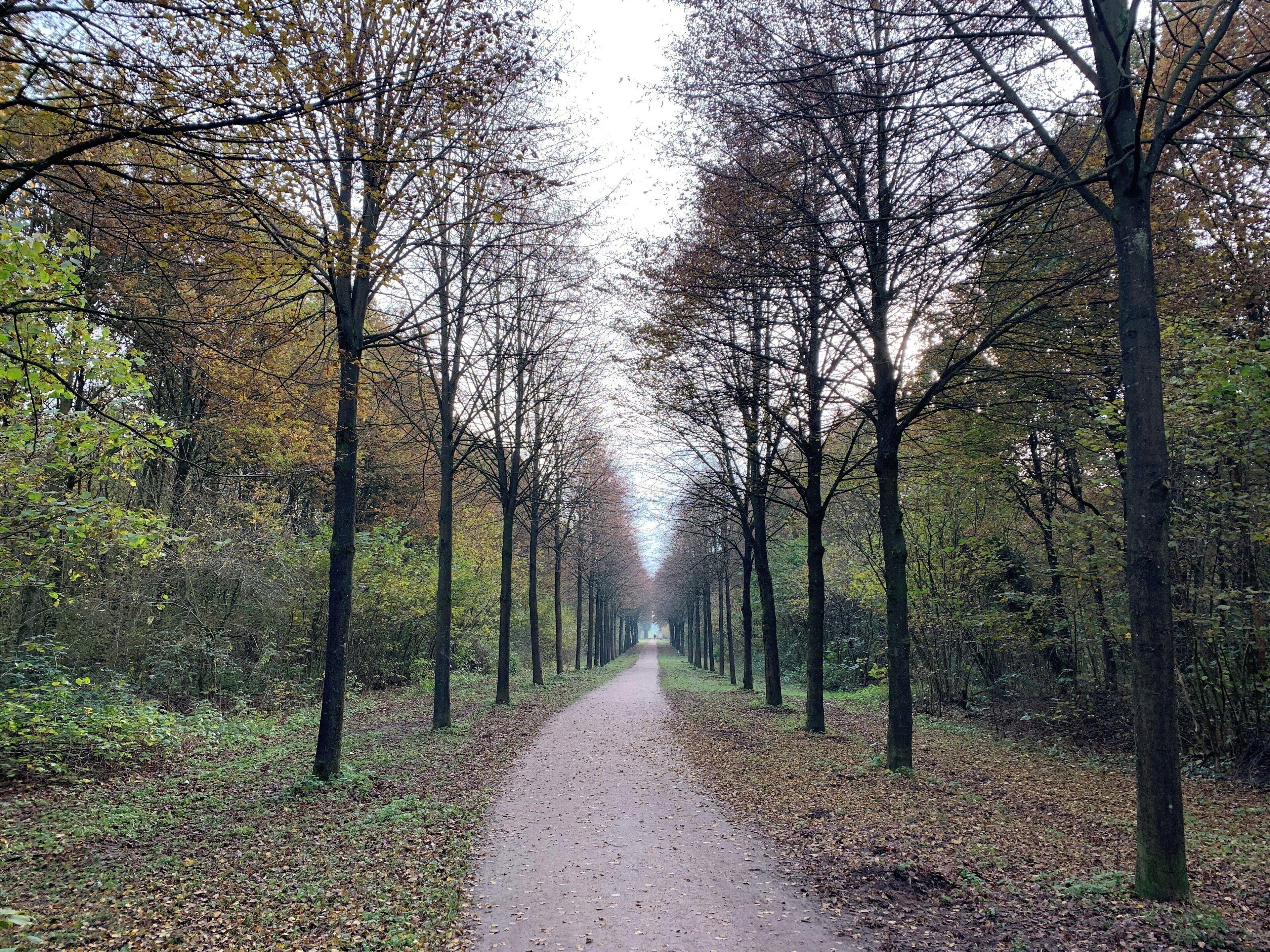 Prachtig wandel gebied.