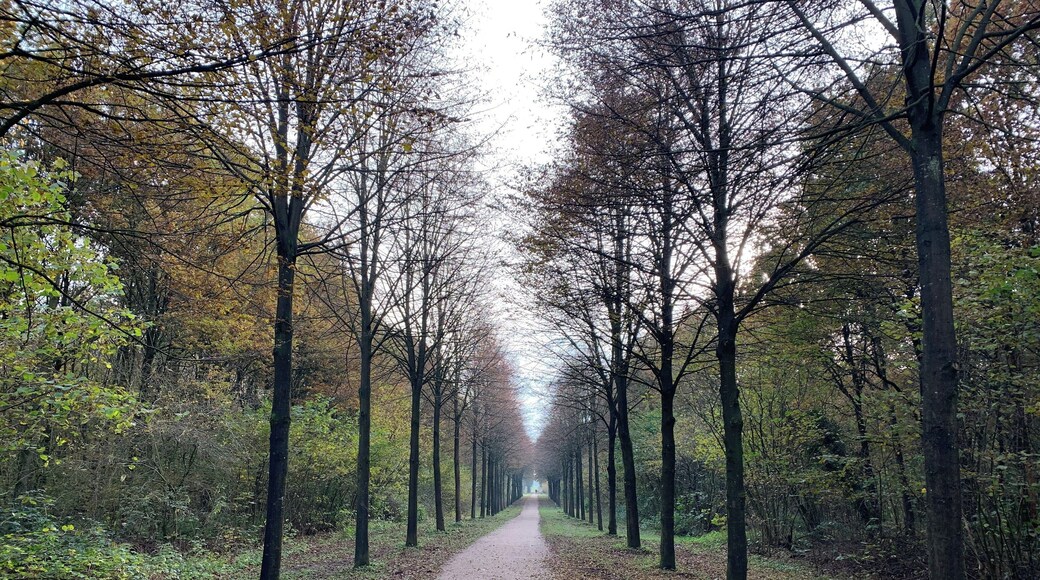 Prachtig wandel gebied.