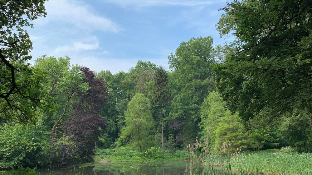 Prachtig om te wandelen.