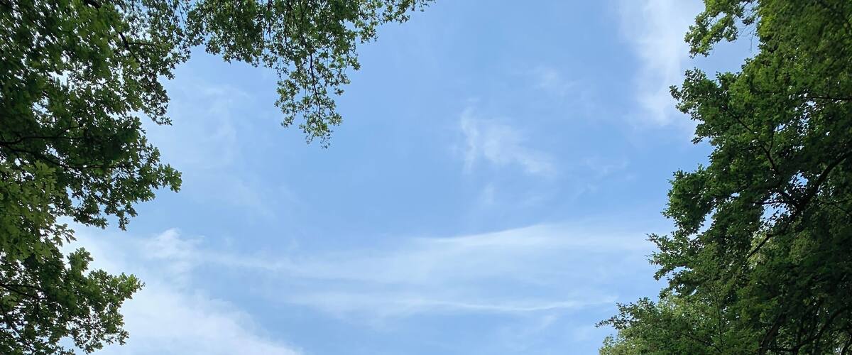 Prachtig om te wandelen.