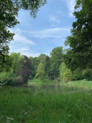 Prachtig om te wandelen.