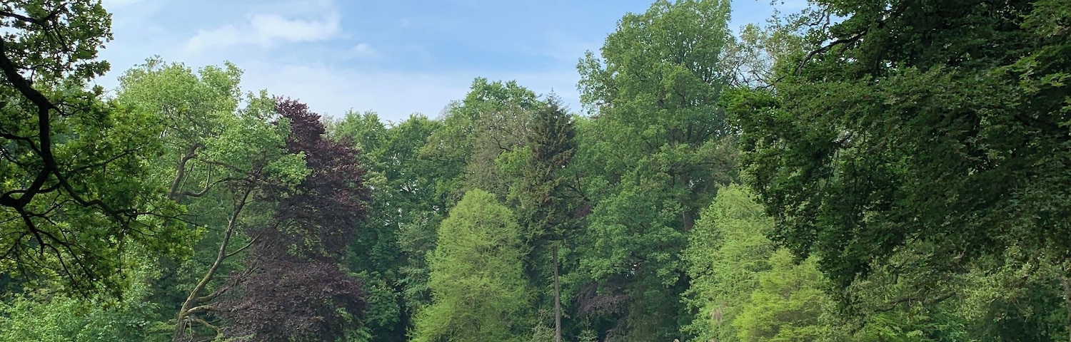 Prachtig om te wandelen.