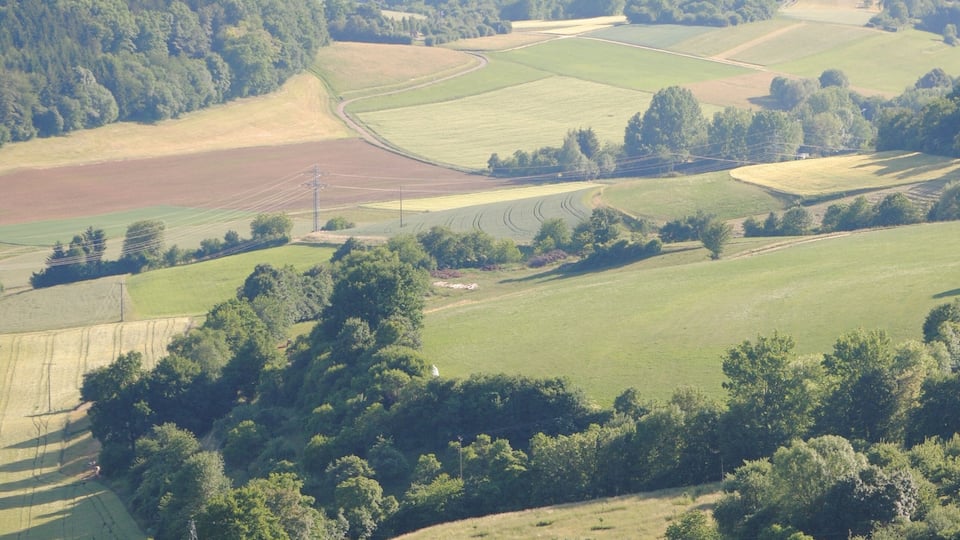A rural landscape with fields, trees, and a small town in the background.