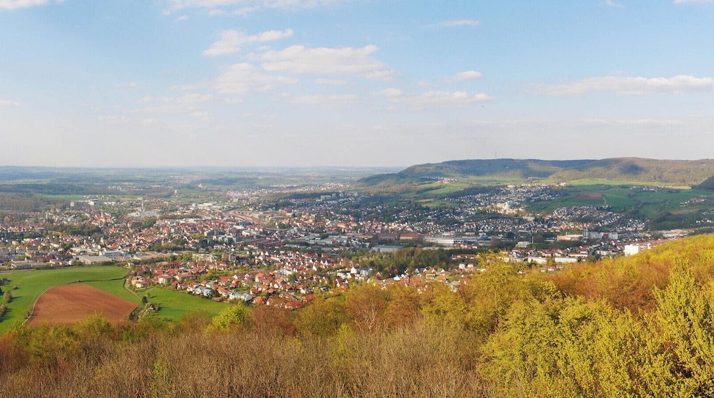 Panorama vom Aalbäumle