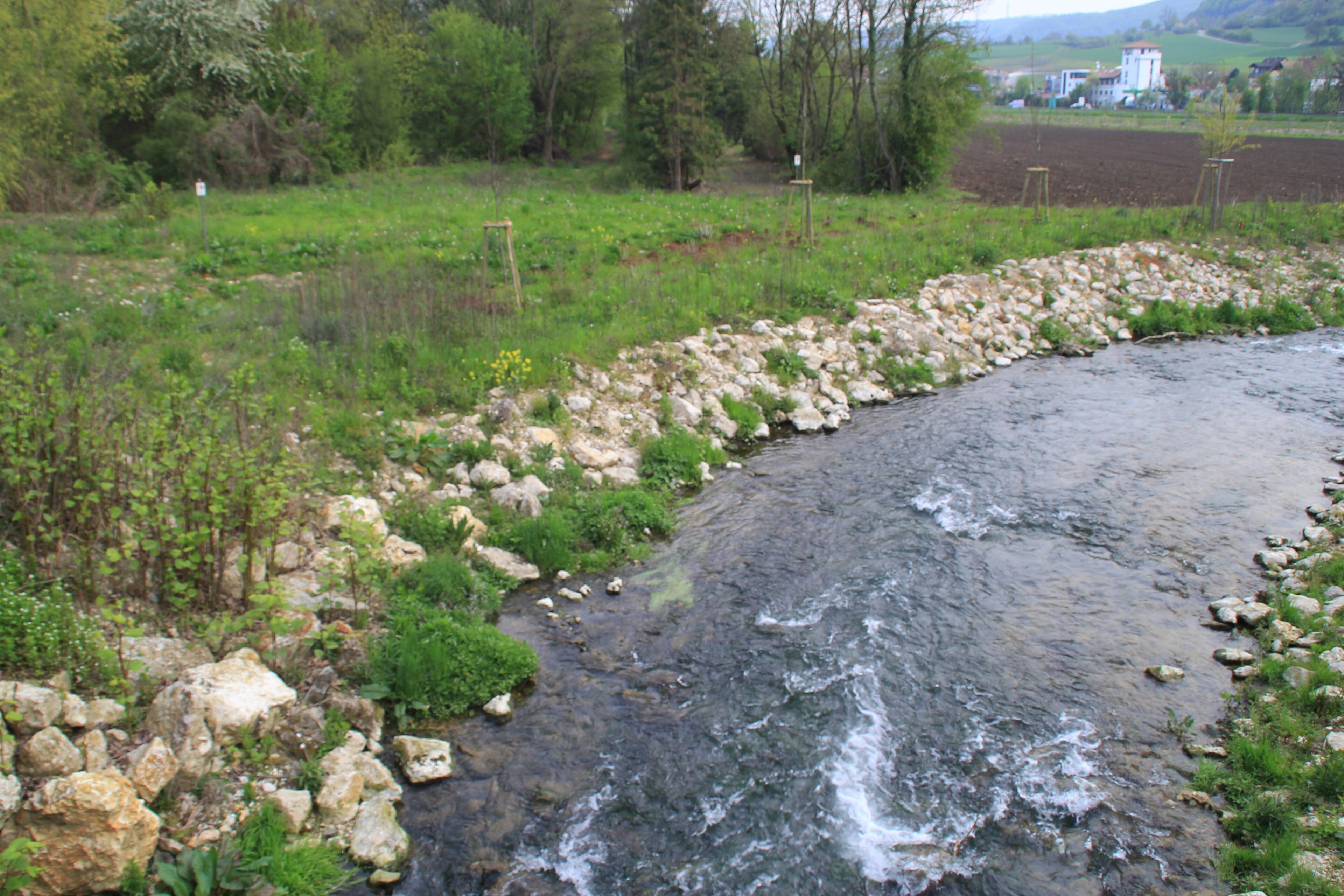 Der Schwarze Kocher am alten Zusammenfluss (nach der Renaturierung wurde der Zusammenfluss mit dem Wei ßen Kocher verlegt)