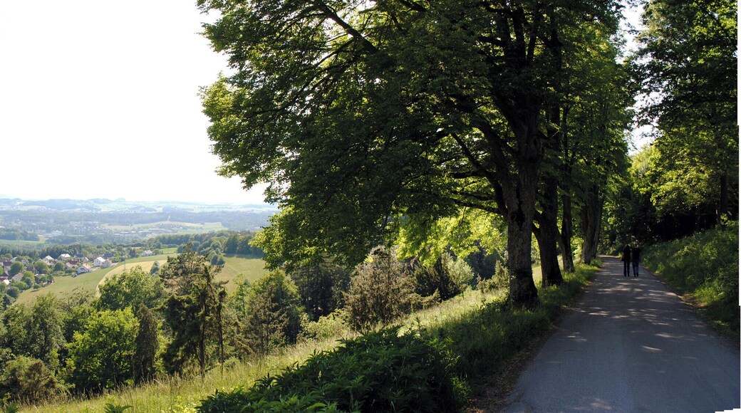 Panorama beim Naturfreundehaus