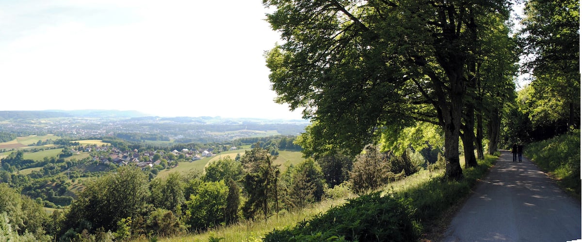 A winding road through a forested hillside with a view of a valley below.