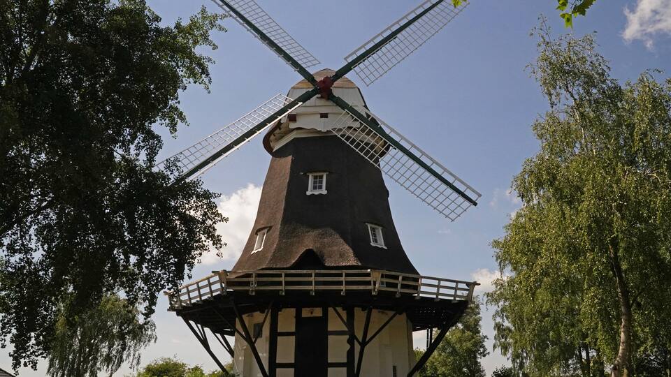 A traditional windmill with four sails, surrounded by lush greenery and trees.