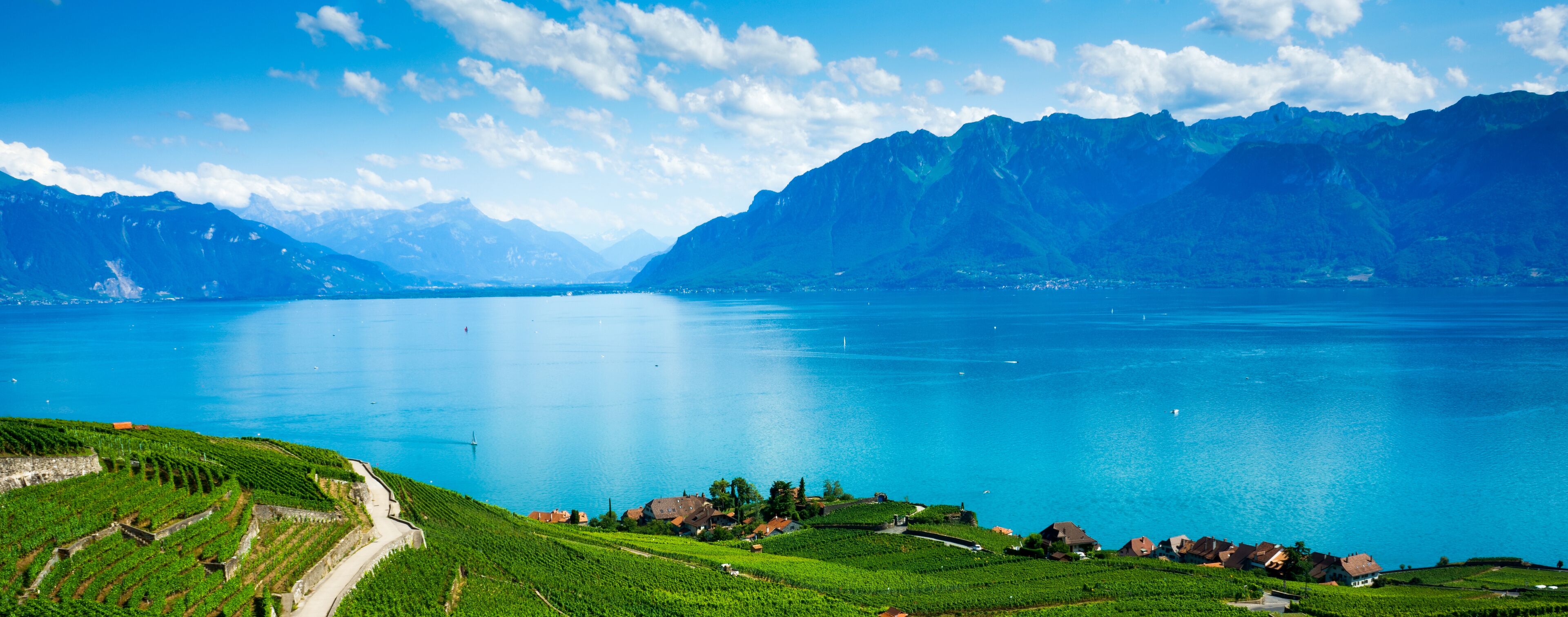 A mountainous landscape with a lake and vineyards.