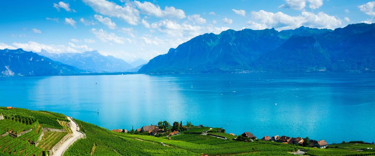 A mountainous landscape with a lake and vineyards.