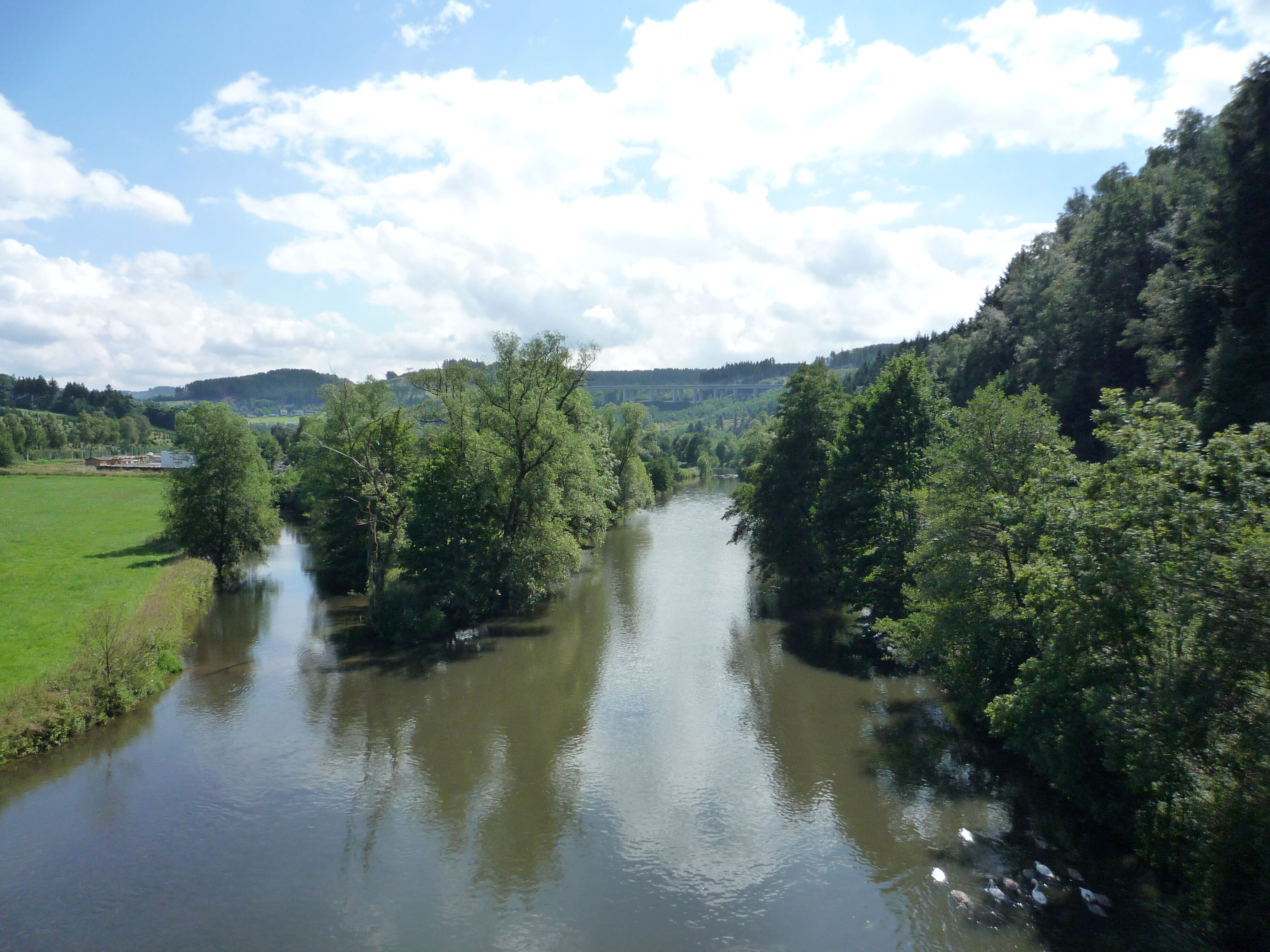 Ruhr westlich von Oeventrop (Bereich Im Neyl), Arnsberg, Hochsauerlandkreis, Nordrhein-Westfalen