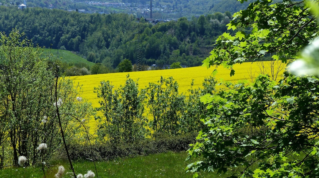 Blick von der B229 auf Arnsberg