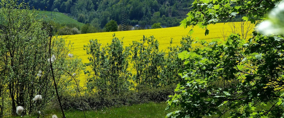 Blick von der B229 auf Arnsberg