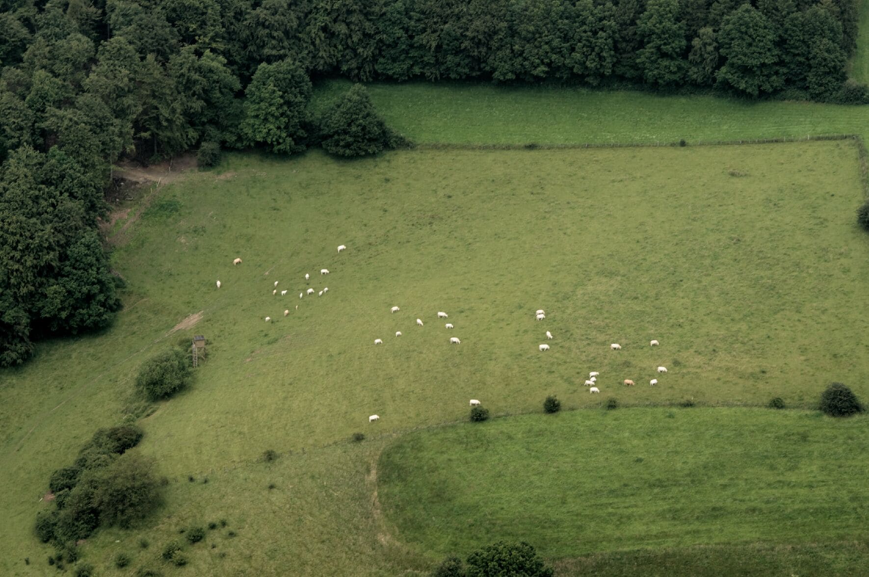 Fotoflug Sauerland Nord. Weide beim Freberg westlich von Arnsberg-Kirchlinde, Blickrichtung Nord