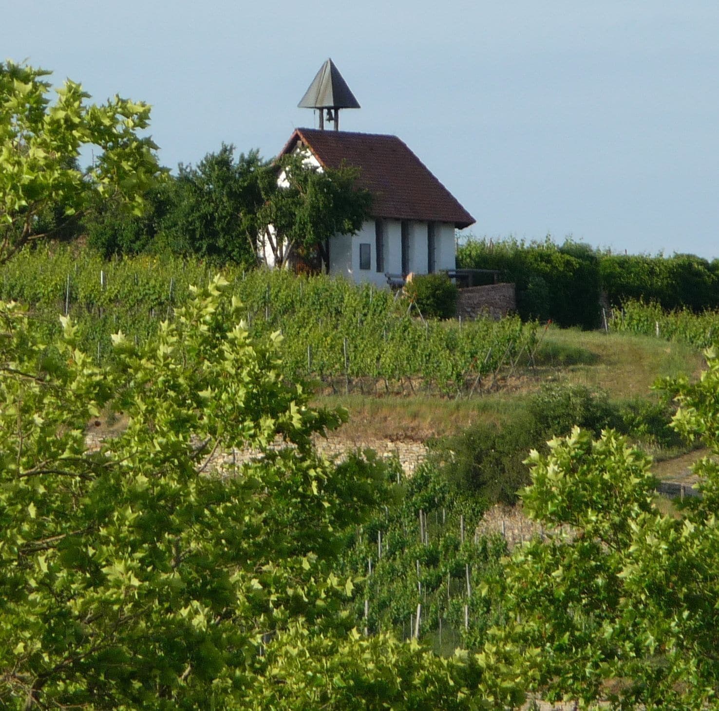 A white building with a red roof and a triangular roof structure, surrounded by greenery and vineyards.