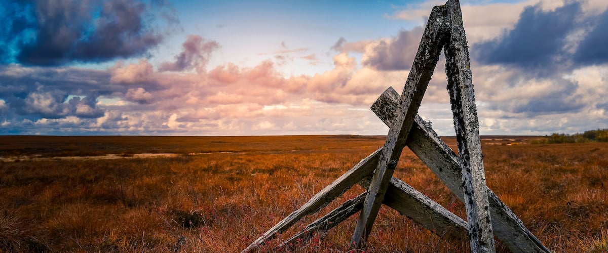 The Tundra, Yukon Delta