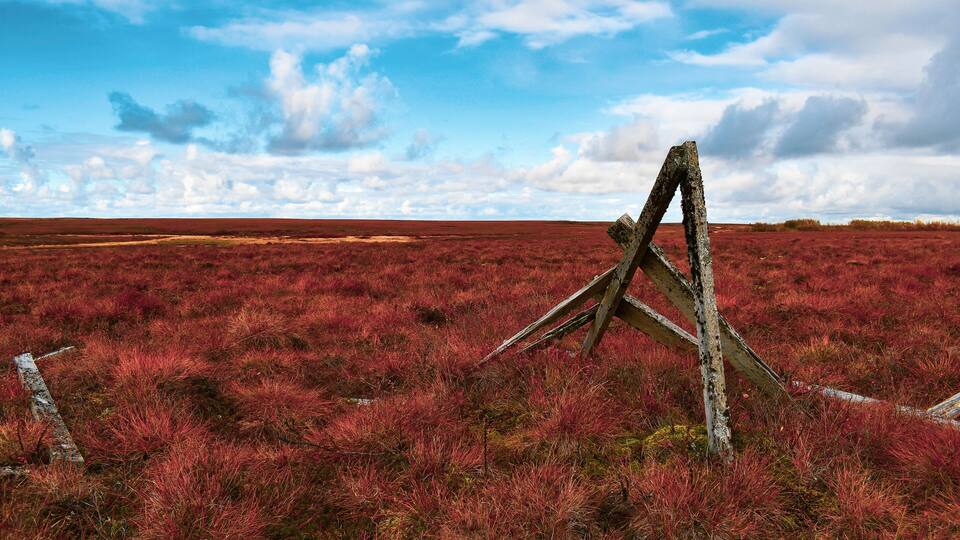 A vast red landscape with a wooden structure.