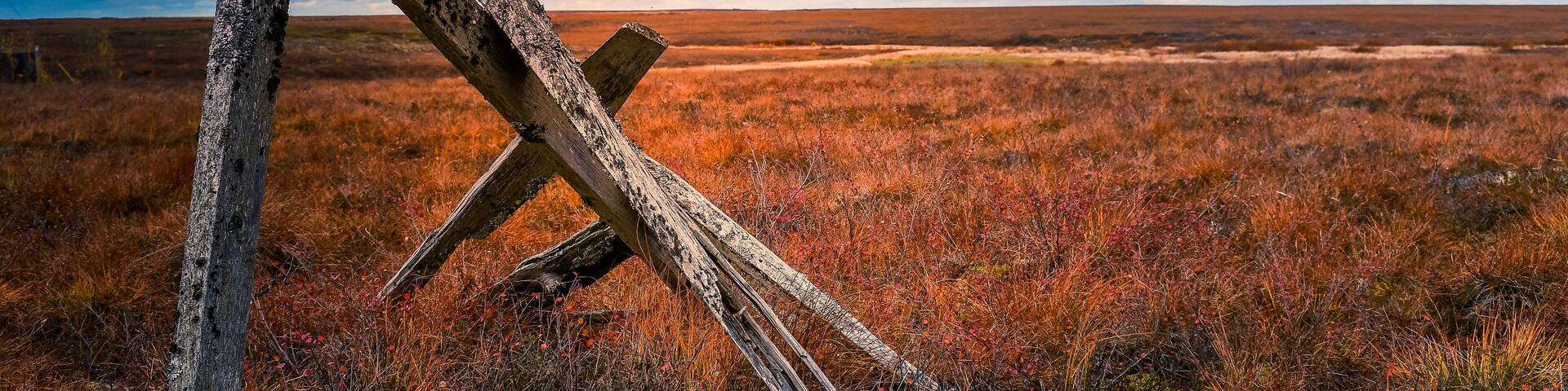 The Tundra, Yukon Delta