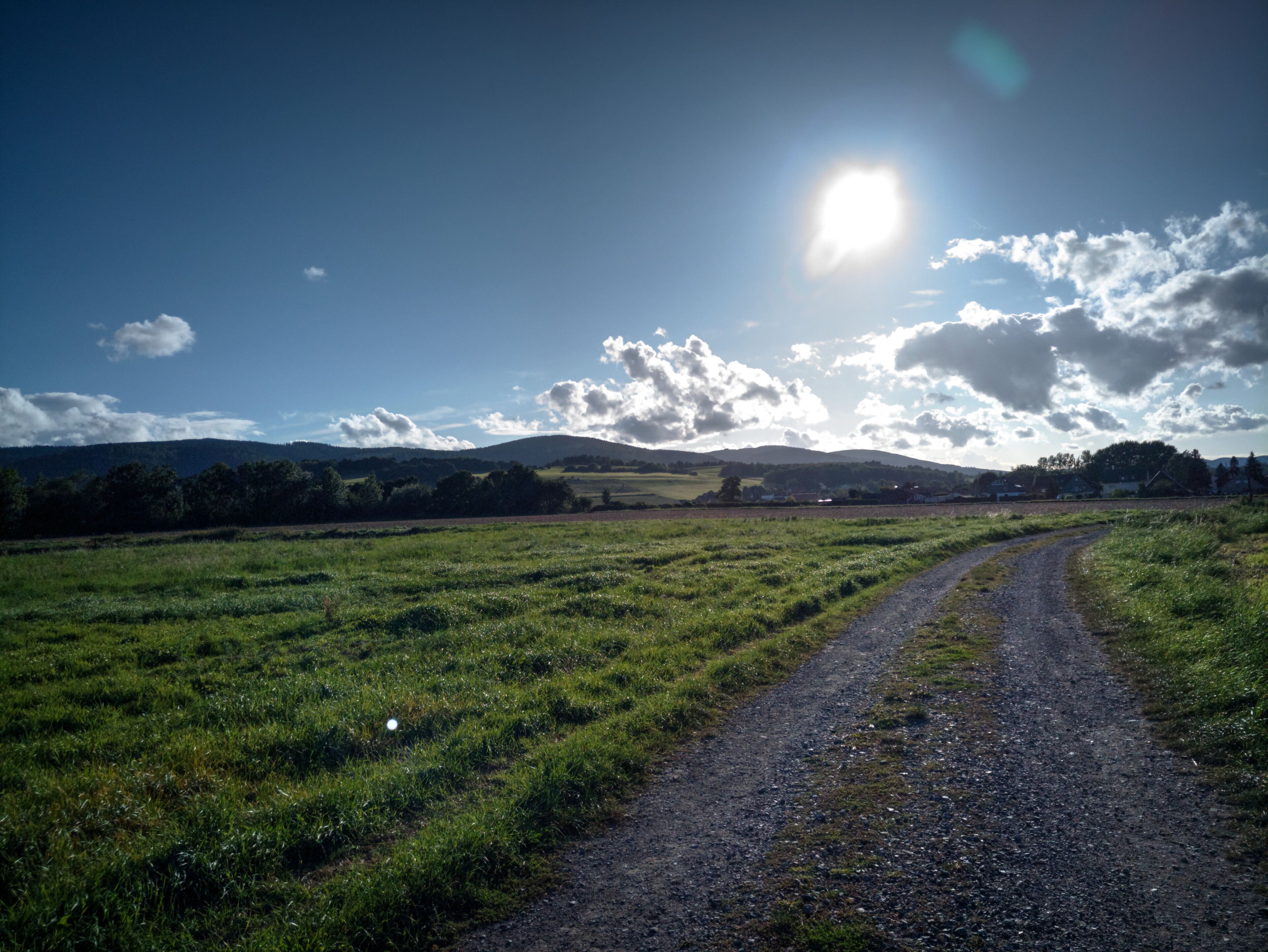 Picture of the Langenberg including its landscape around it between Harlingerode, Schlewecke and Radauanger.