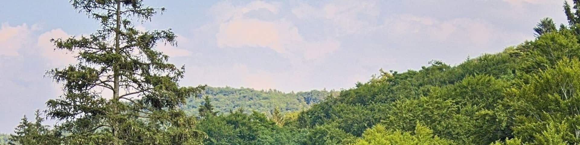 Baumwipfelpfad in Bad Harzburg
Treetop path at Bad Harzburg in Harz Nationapark.