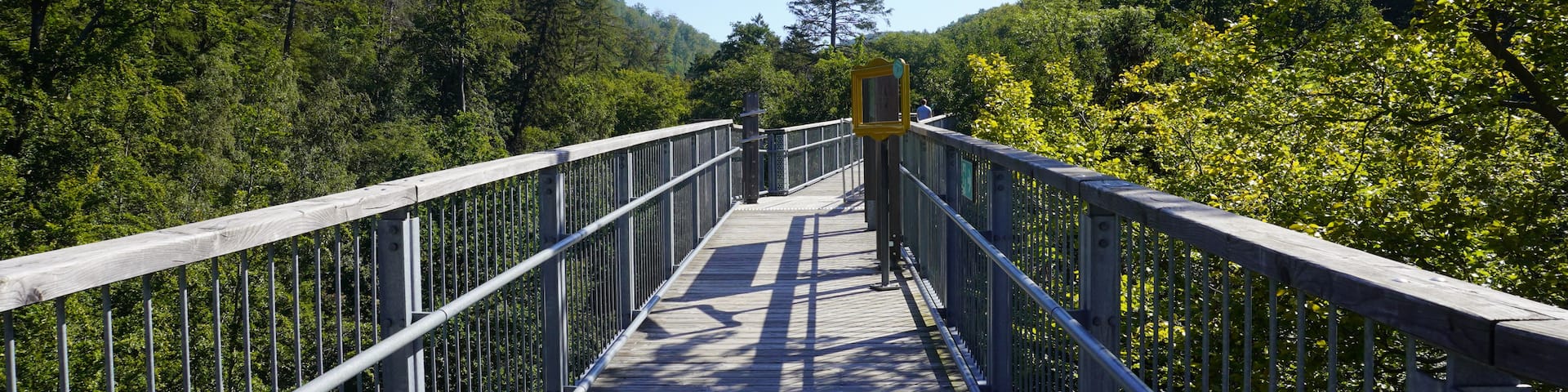 A wooden pedestrian bridge with metal railings, surrounded by dense green forest and a clear blue sky.