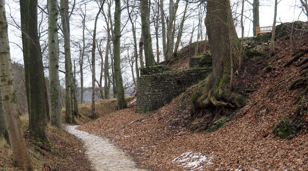 Wehr- und Ringmauer-Reste der Harzburg (11. und 12. Jahrhundert), Großer Burgberg, Bad Harzburg
