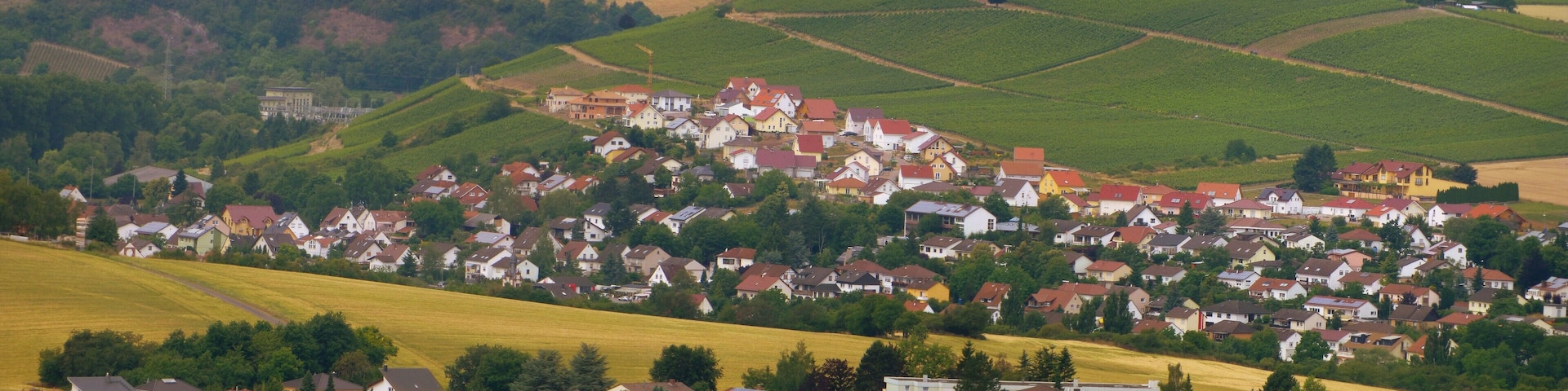 Blick vom Rheingrafenstein auf Norheim