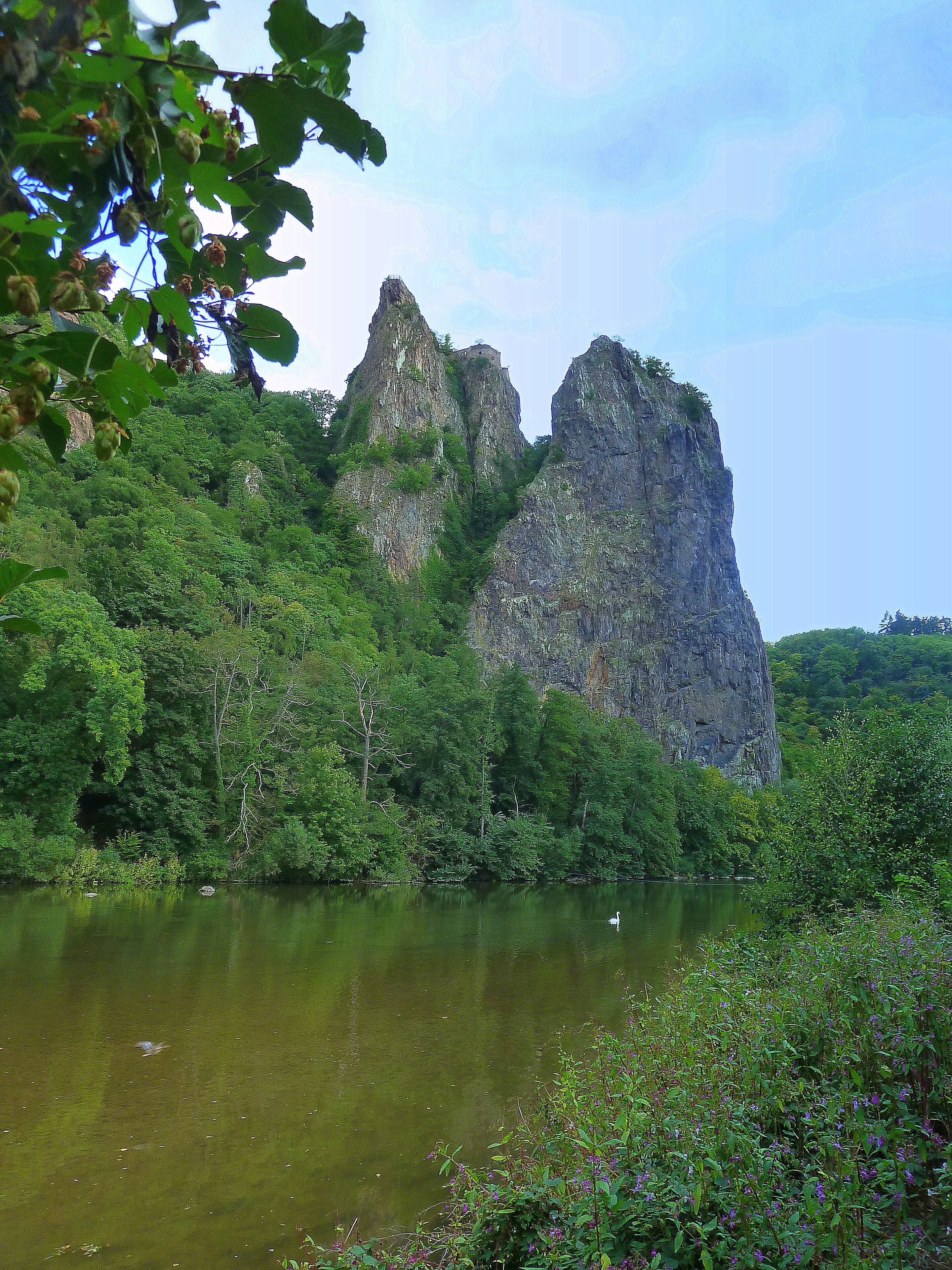 A river with a swan, surrounded by dense green foliage and towering rock formations.