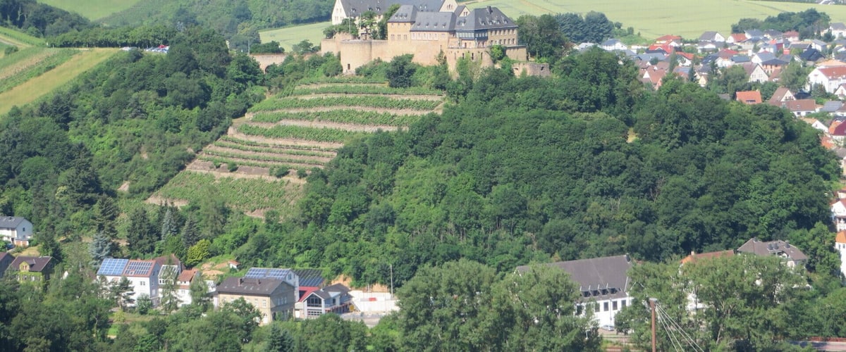 A castle surrounded by lush greenery and terraced vineyards.