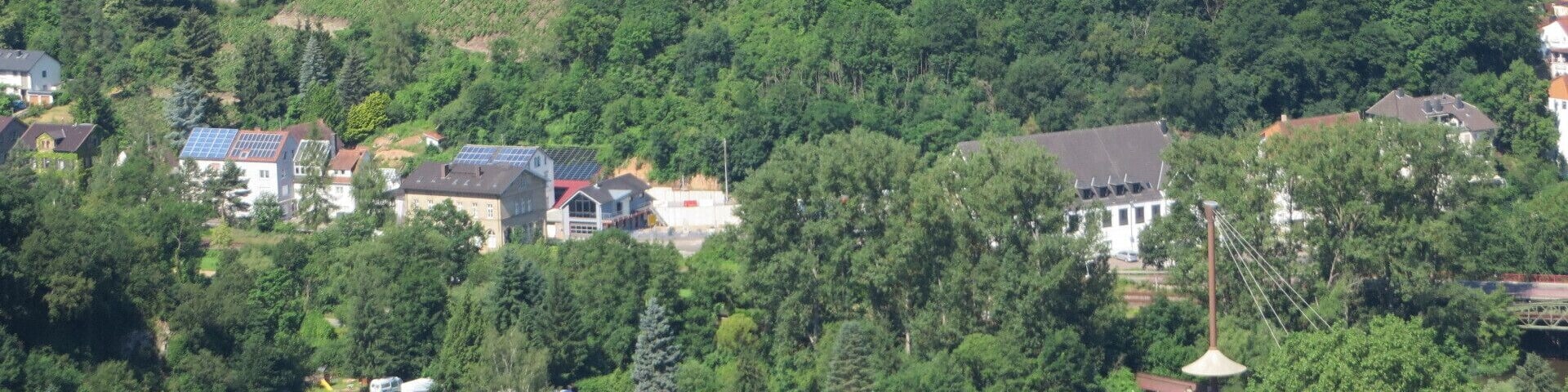 A castle surrounded by lush greenery and terraced vineyards.
