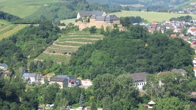 Um castelo rodeado por vegetação exuberante e vinhas em terraços.