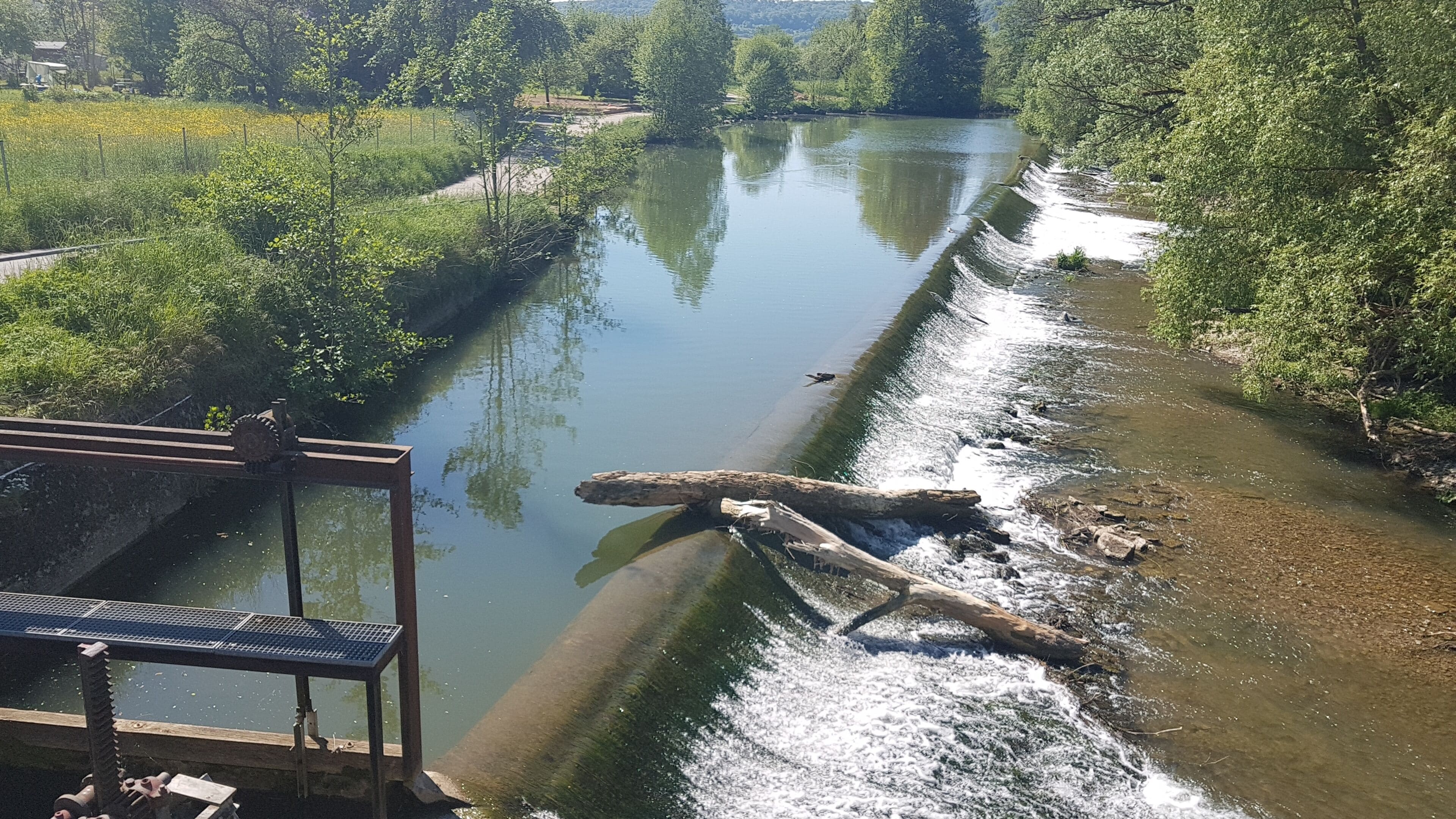 Die Tauber bei Edelfingen