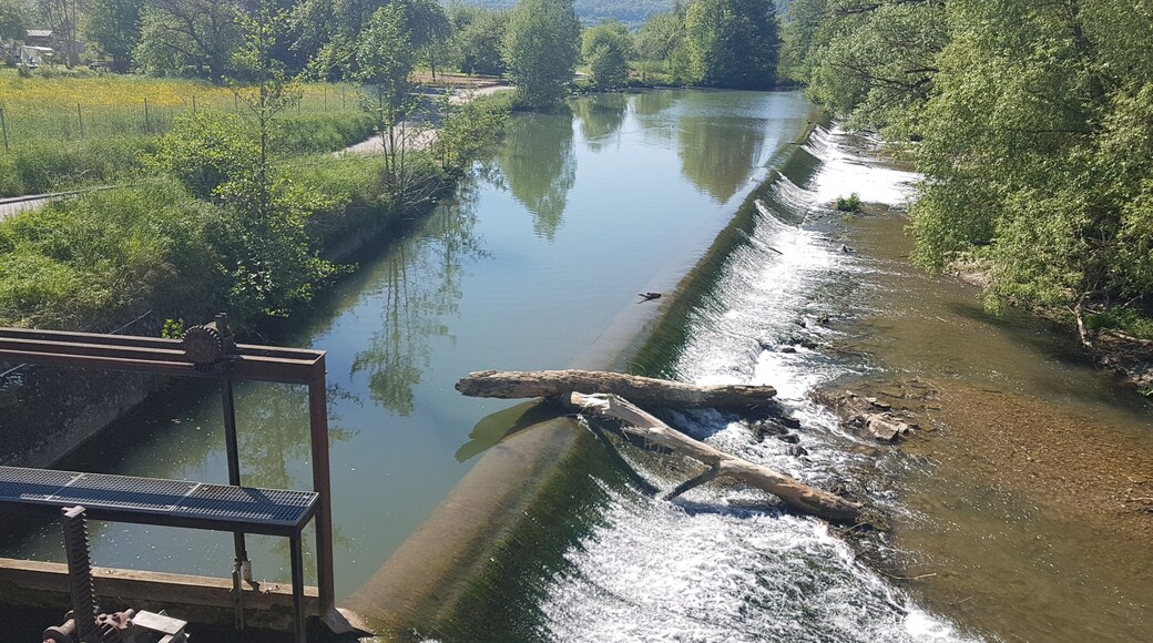 Die Tauber bei Edelfingen