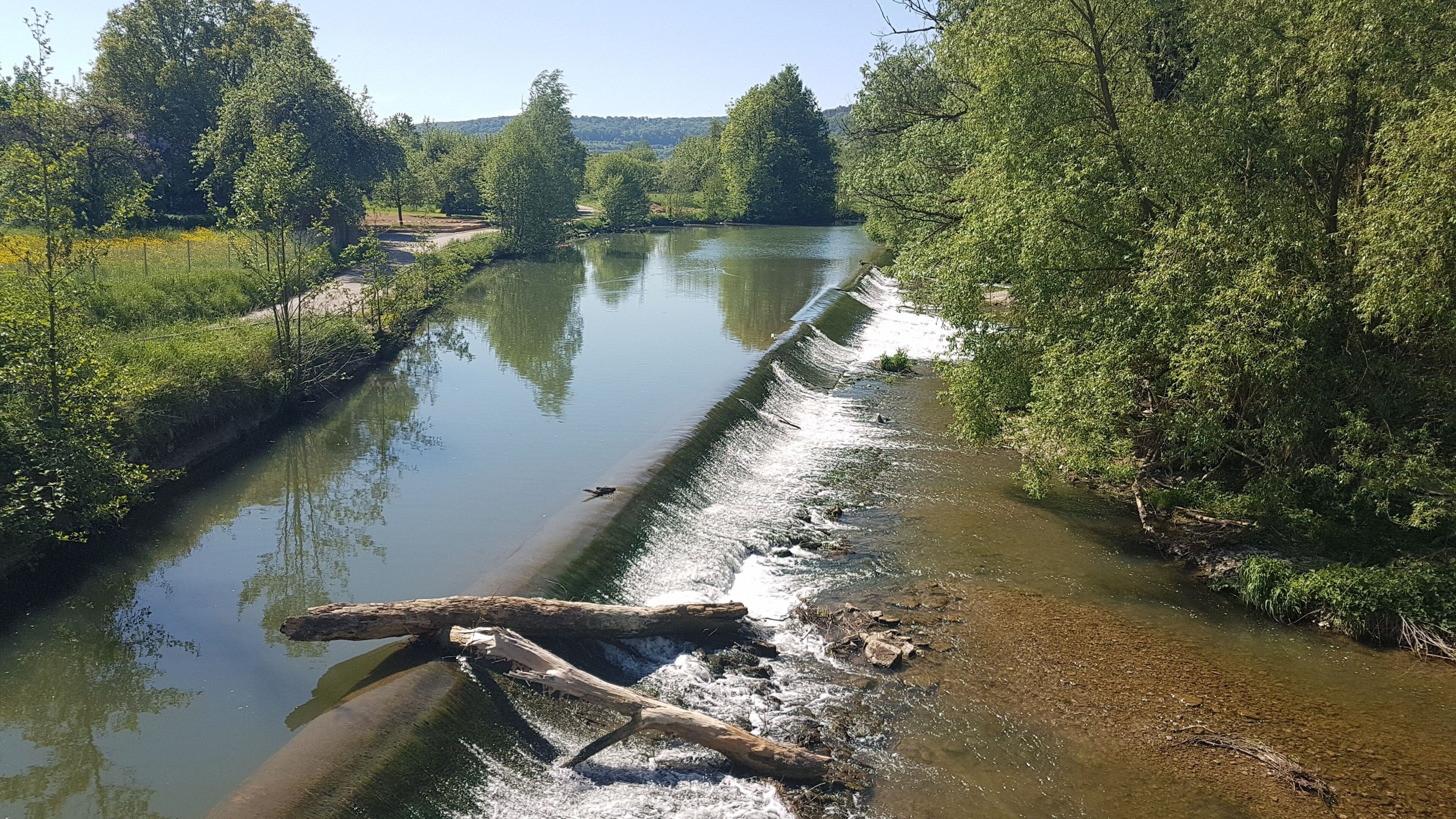 Die Tauber bei Edelfingen