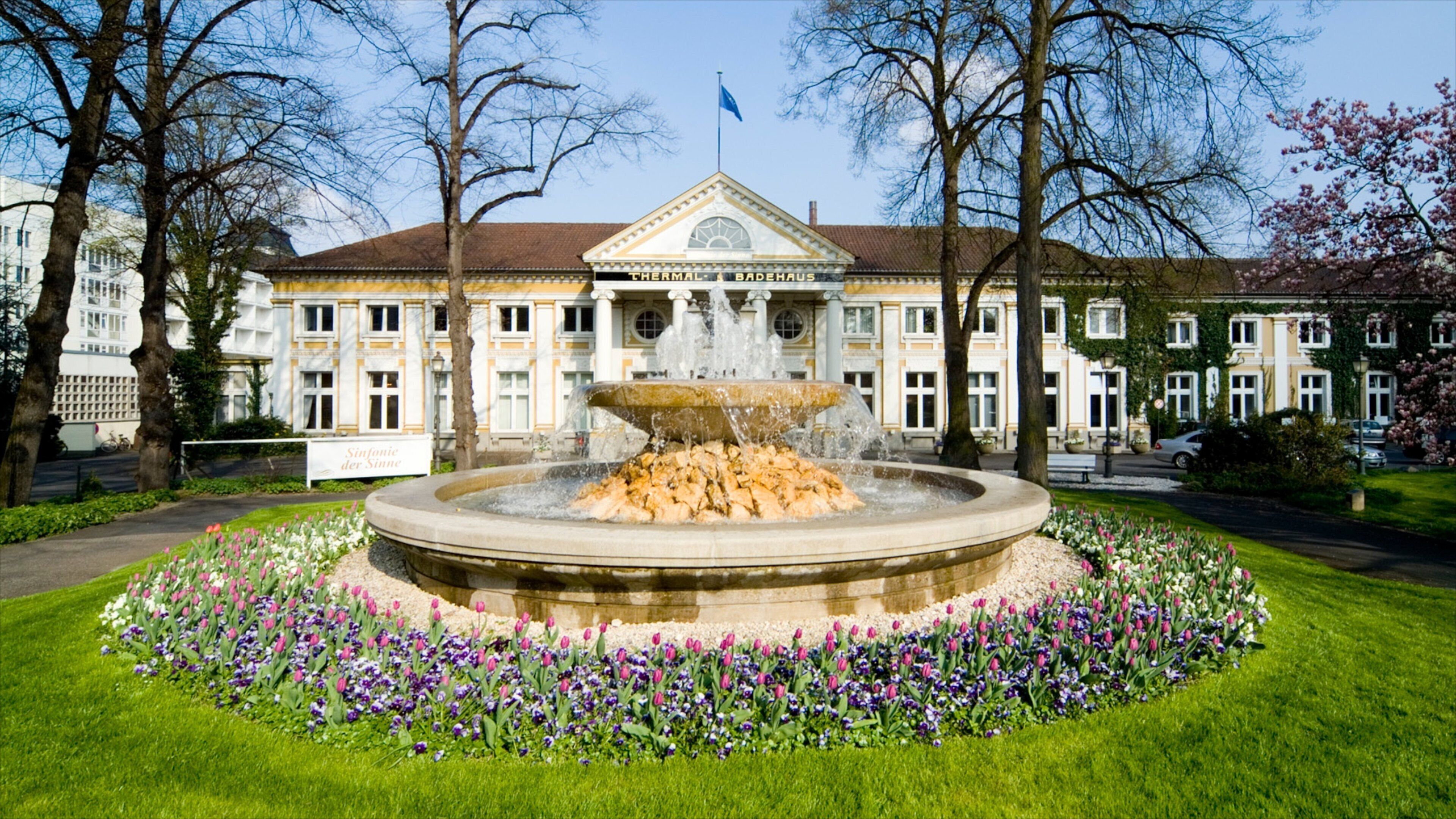 Bad Neuenahr-Ahrweiler featuring a city, a square or plaza and a fountain