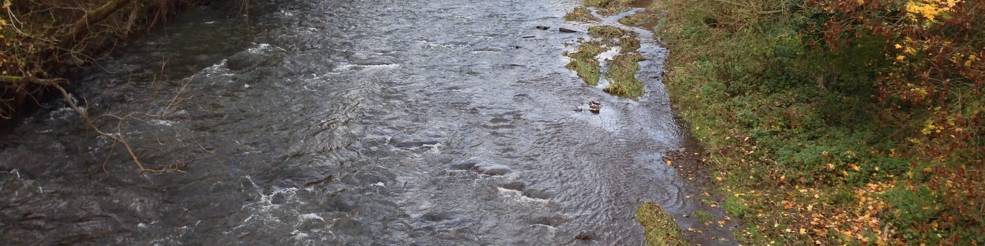 Die Ahr in Höhe der "Bunten Kuh".