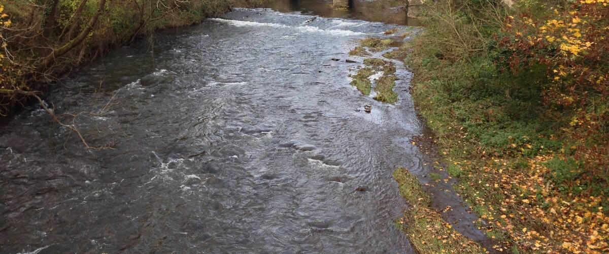 A river flowing under a stone bridge surrounded by autumn foliage.