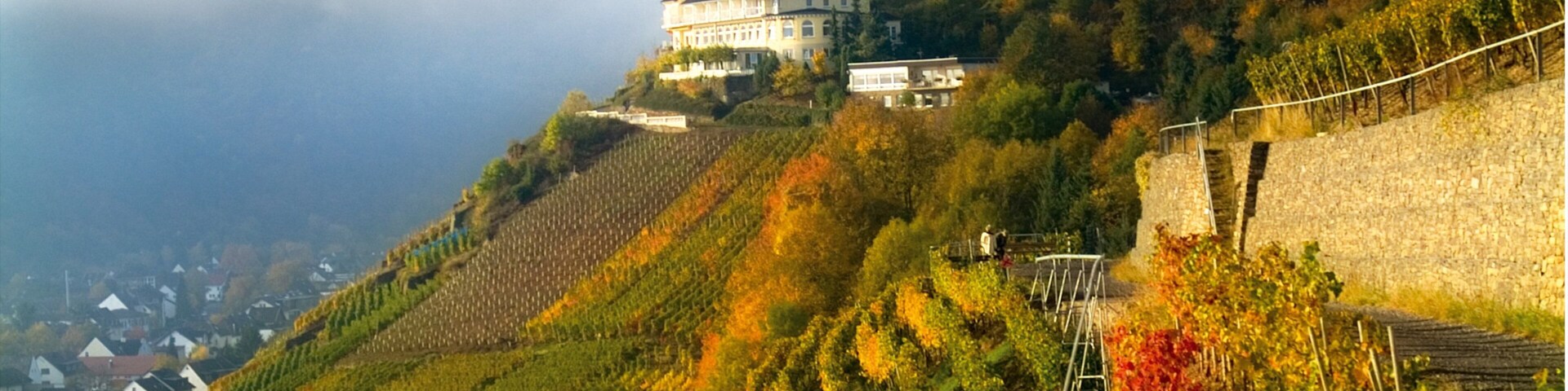A hillside vineyard with rows of grapevines, a stone wall, and a building on a hilltop.