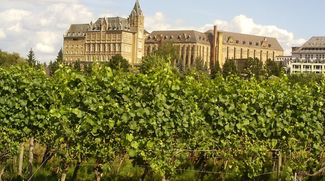 The old part of Kalvarienberg monastery