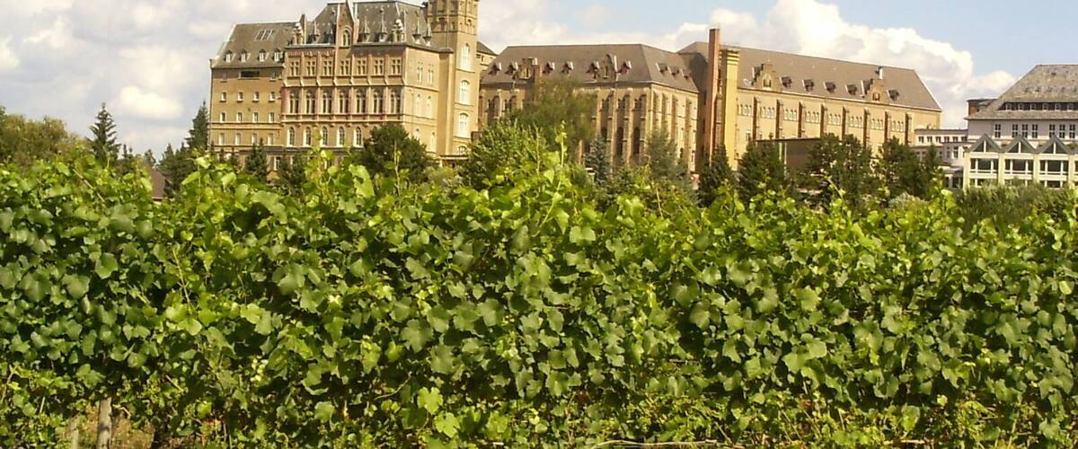 The old part of Kalvarienberg monastery