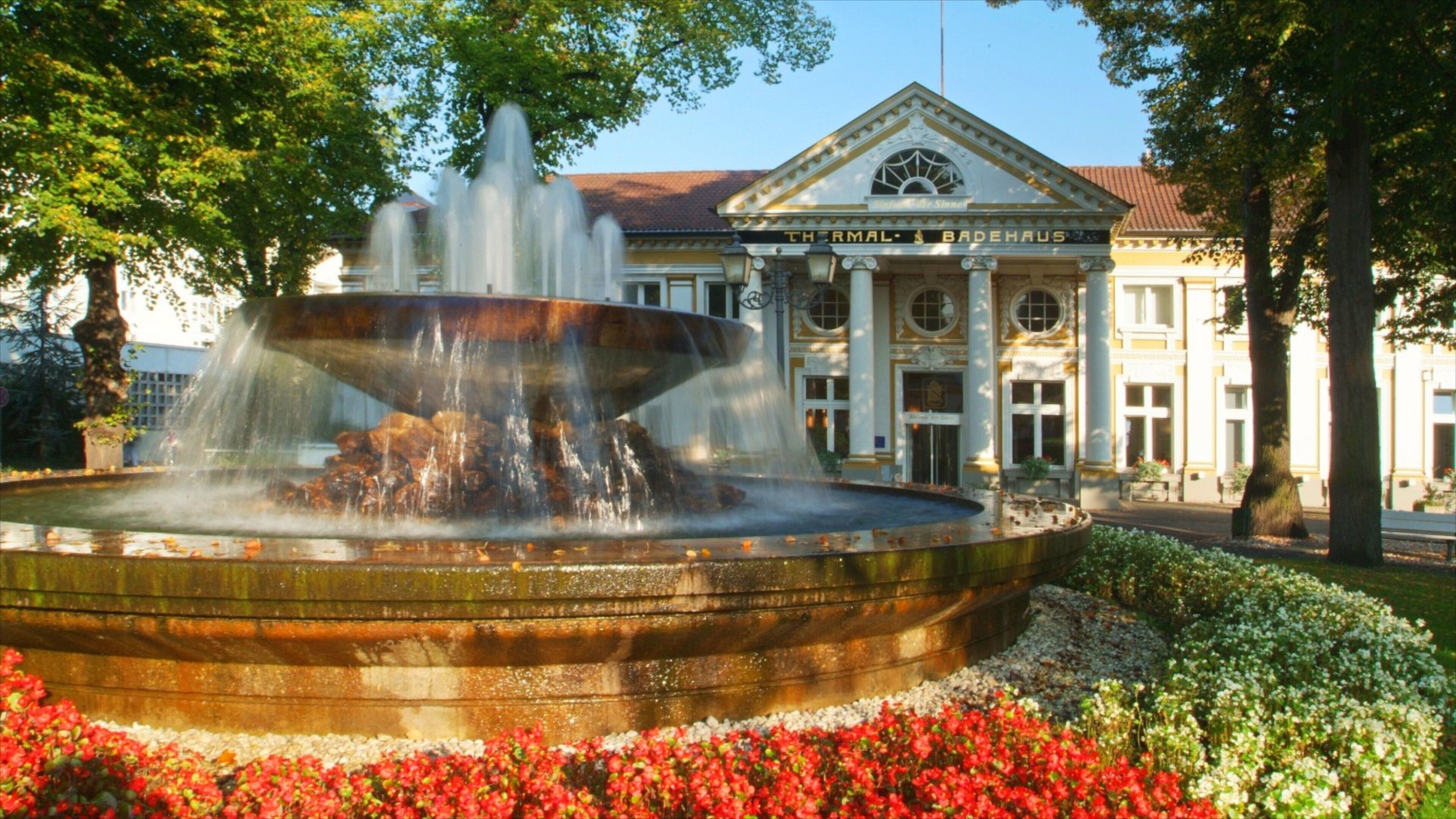 Bad Neuenahr-Ahrweiler which includes a garden, flowers and heritage architecture