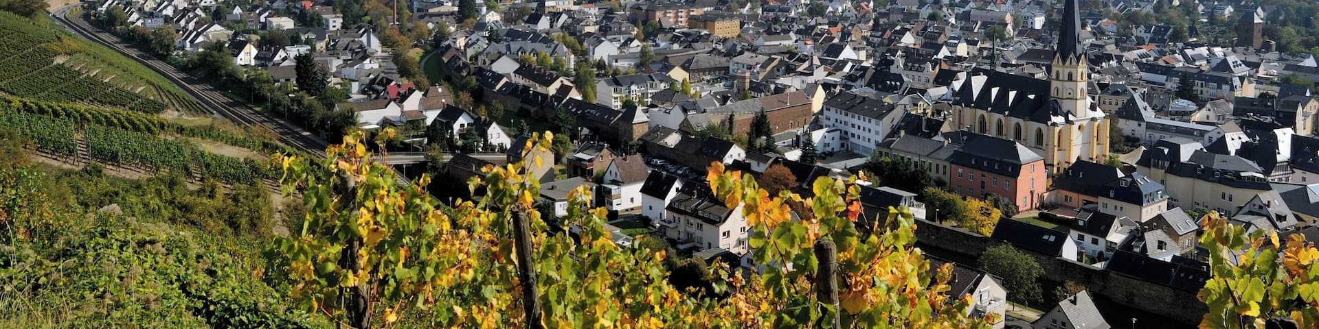 A town with vineyards, a prominent church, and rolling hills in the background.