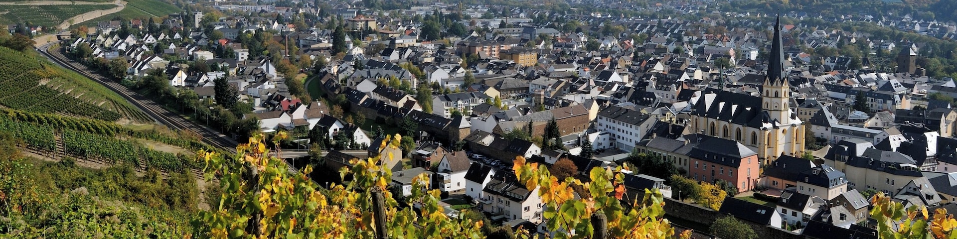 Ahrweiler (Rhineland-Palatinate, Germany) – Red Wine Footpath – view to the city