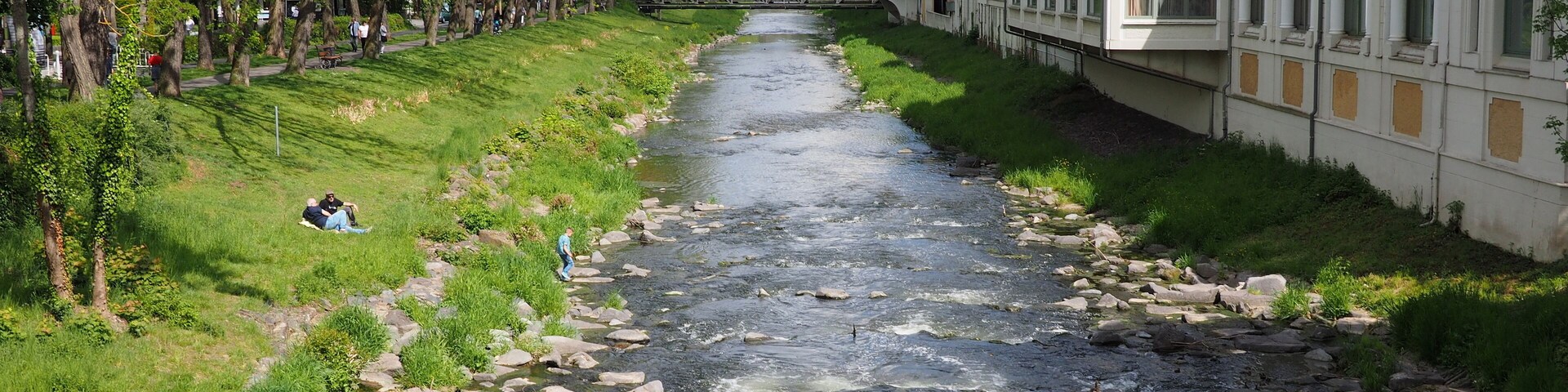 A river with rocks, trees, and buildings along the banks.