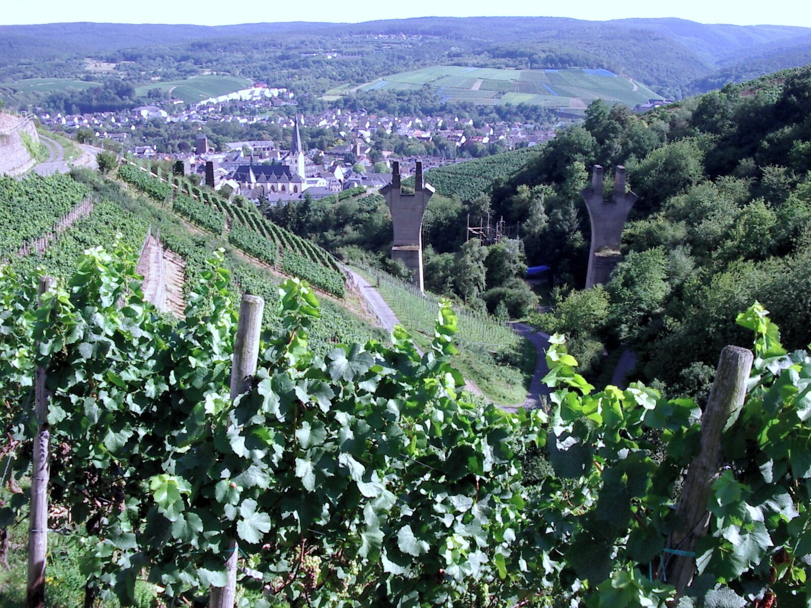 Brückenpfeiler oberhalb von Ahrweiler Markt der "Unvollendeten", Pentax Optio 230
