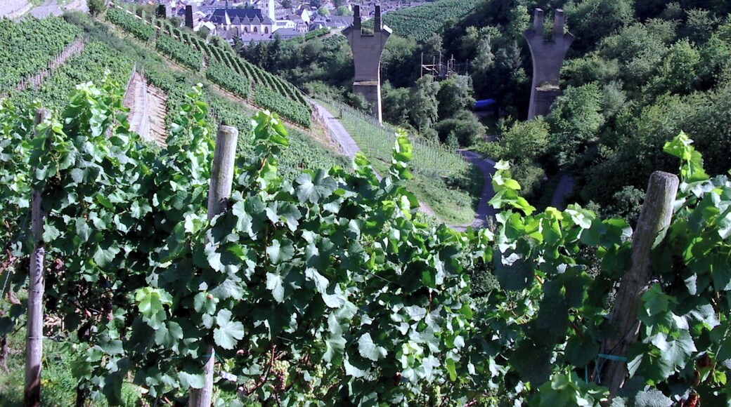 Brückenpfeiler oberhalb von Ahrweiler Markt der "Unvollendeten", Pentax Optio 230